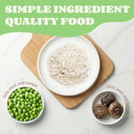 HealSpot Protein Konjac Shirataki Noodles – Low Carb Pasta Alternative with Plant Protein, Keto Friendly & Gluten Free
